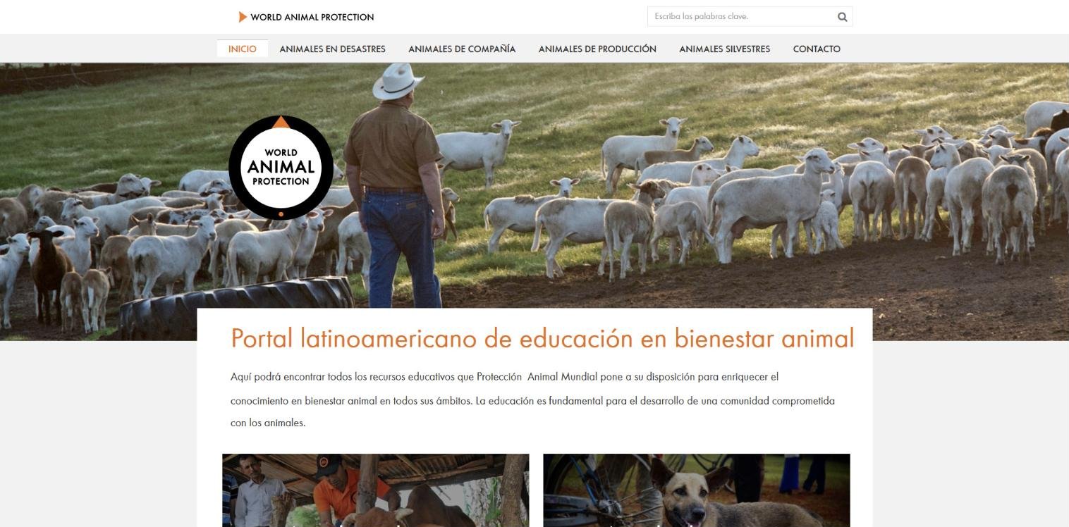 World Animal Protection: un portal educativo multilenguaje y una estrategia para que su contenido se use